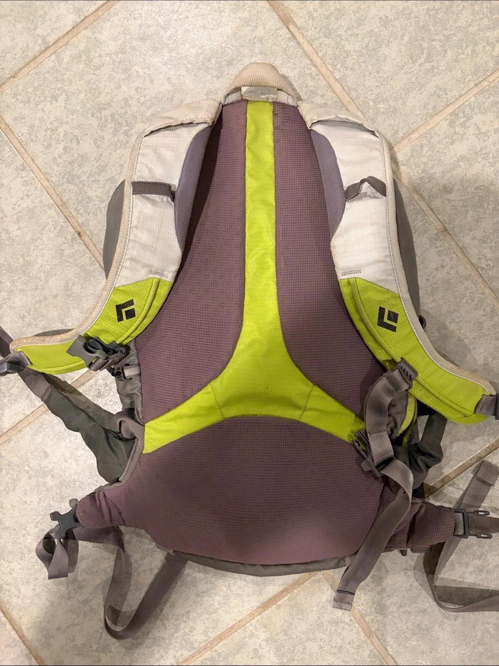 Black Diamond Backpack in Lime and Taupe Accent